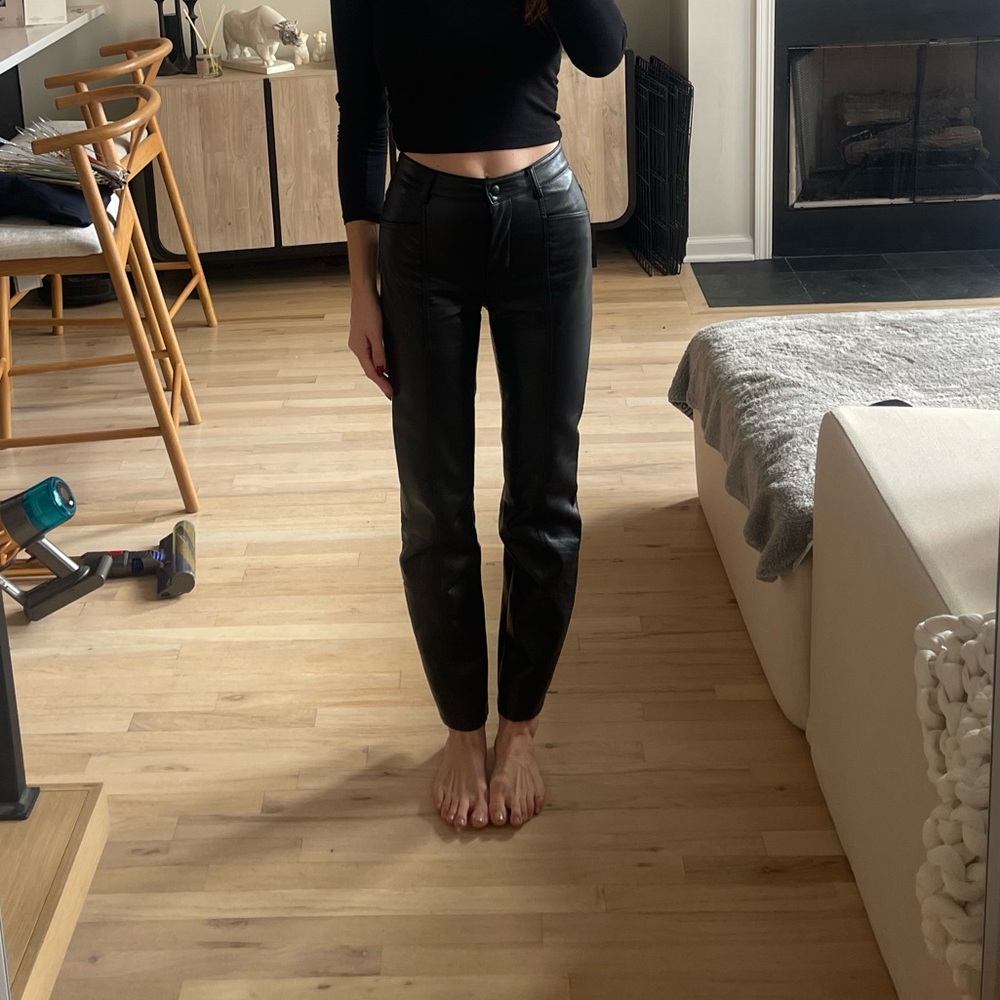 Aritzia Rebel pants